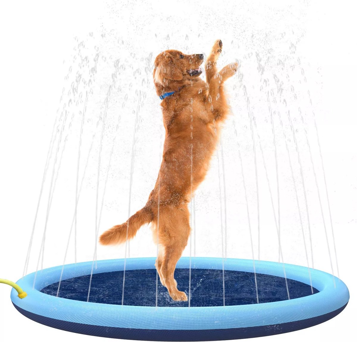FunDog - Hundepool mit Sprinkleranlage