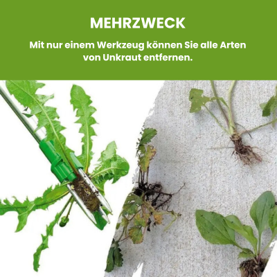 RootFree - Permanentwurzelentferner