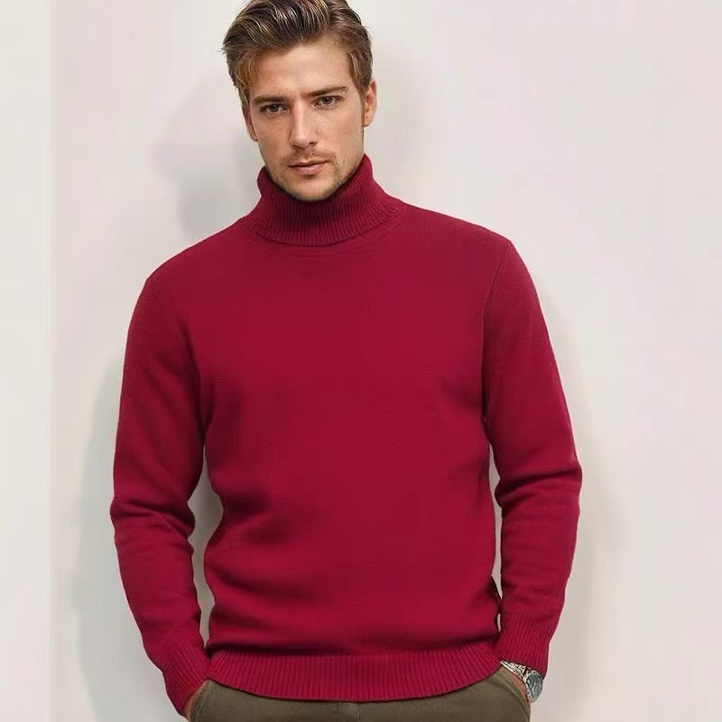 Feinstrick Rollkragenpullover für Herren