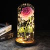 Beauty™ - Verzauberte Rose
