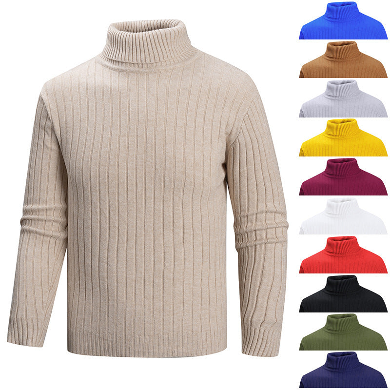 Herren Rollkragenpullover mit geradem Schnitt