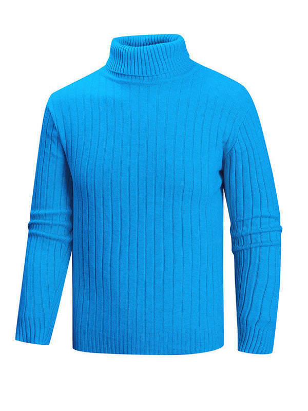 Herren Rollkragenpullover mit geradem Schnitt