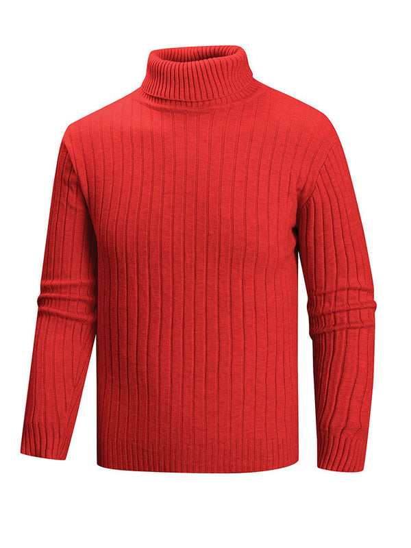 Herren Rollkragenpullover mit geradem Schnitt