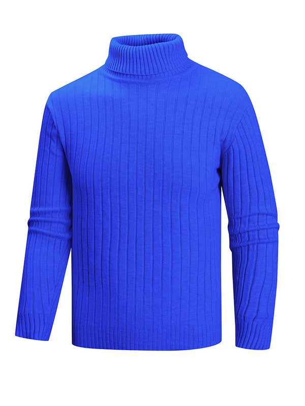 Herren Rollkragenpullover mit geradem Schnitt