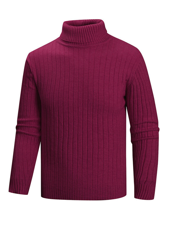 Herren Rollkragenpullover mit geradem Schnitt