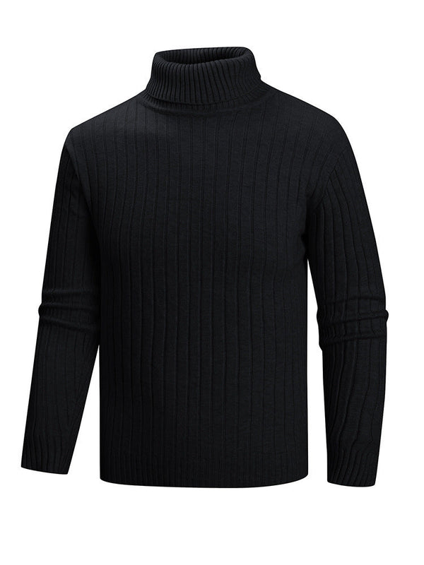 Herren Rollkragenpullover mit geradem Schnitt