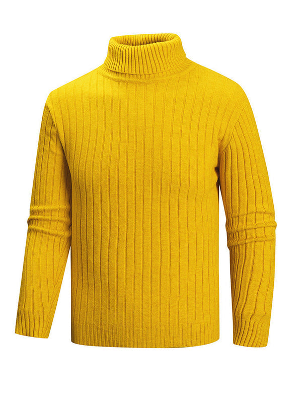 Herren Rollkragenpullover mit geradem Schnitt