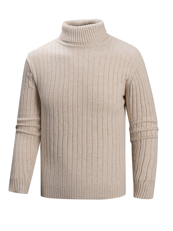 Herren Rollkragenpullover mit geradem Schnitt
