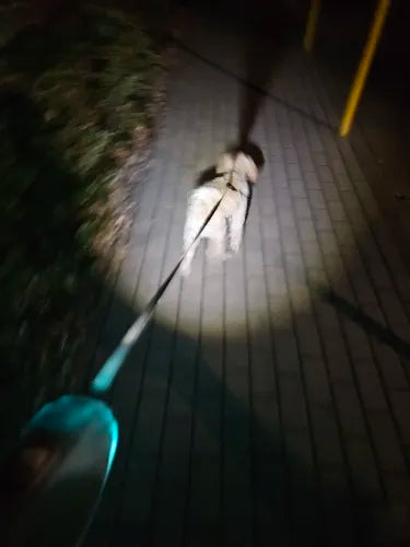 SafePaws - Sichere Hundeleine