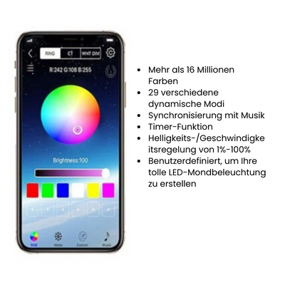 IntelliLight- Intelligente Weihnachtslichter