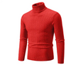 Lionel - Herren rollkragen pullover