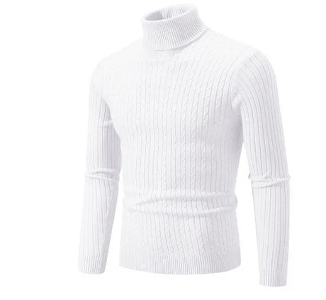 Lionel - Herren rollkragen pullover