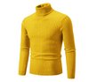 Lionel - Herren rollkragen pullover