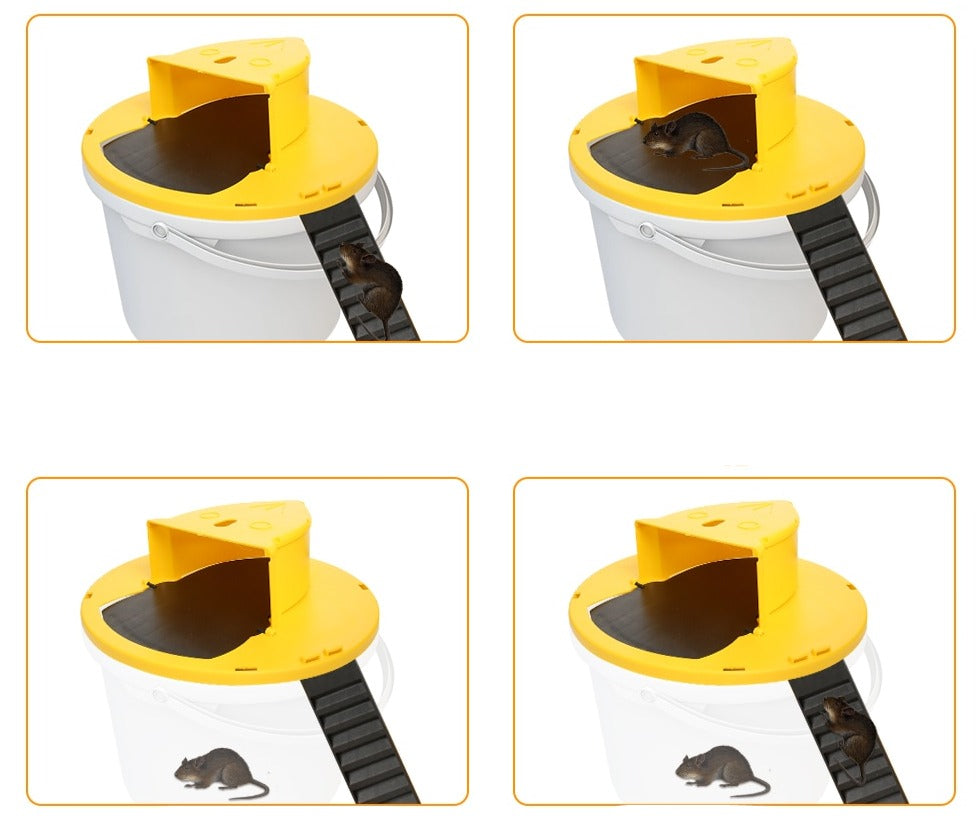 Smart Mouse™ - Die intelligente, wiederverwendbare Maus-Ratten-Falle