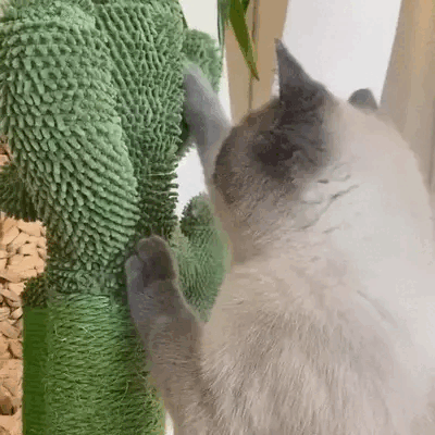 PurrfectPrickle™ - Kratzbaum für Katzen