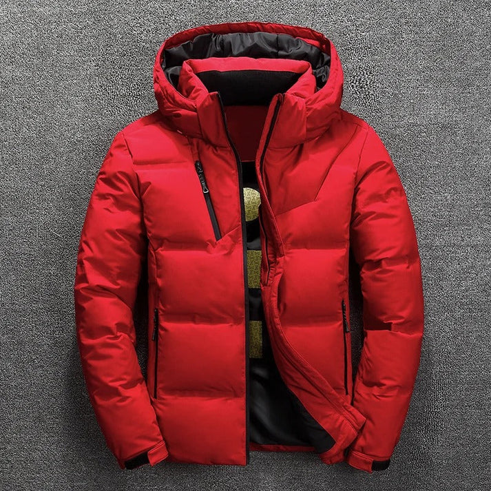 Raul - Warme wasserdichte winterjacke mit Kapuze für herren